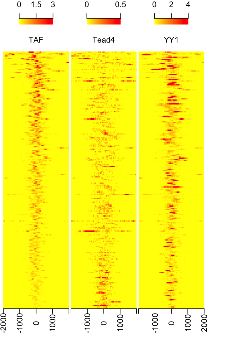 Heatmap of aligned features sorted by signal of TAF